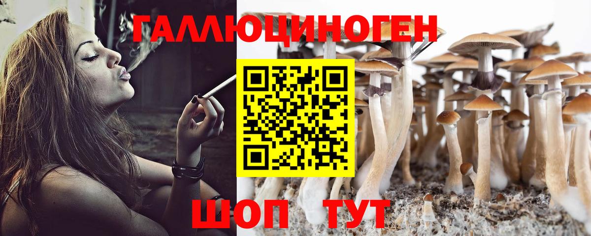 Псилоцибиновые грибы мухоморы Тайшет