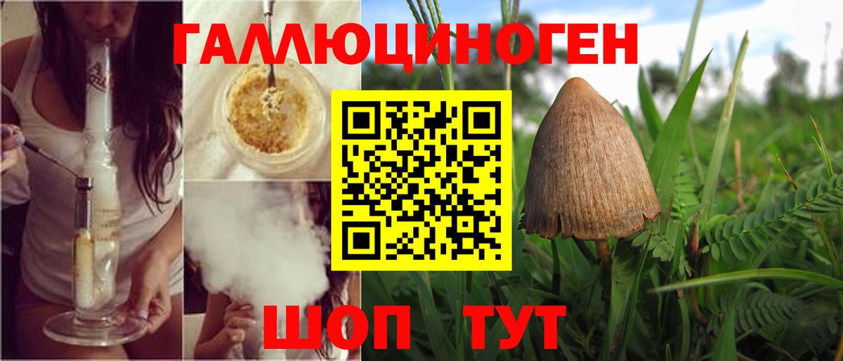 Тайшет  Псилоцибиновые грибы Magic Shrooms  Вход с VPN 